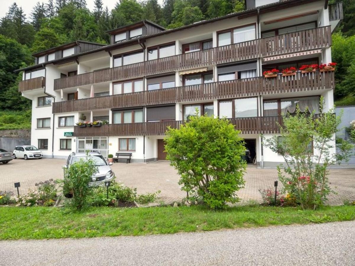 Gib Mir Funf! Ferienwohnung In St. Blasien Buitenkant foto